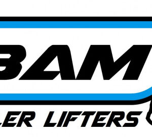 Bam Logo 1 E1625309737622.jpg