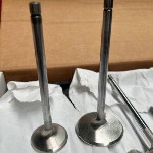 Higgins Valves